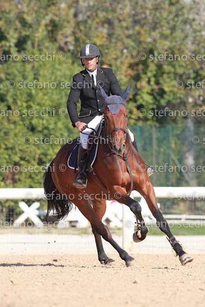 CASU_OLIMPO_GIO CAV 2011_SS3_6500.jpg